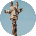Ewa T. profile picture